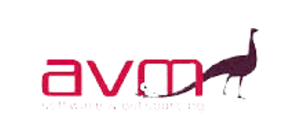 AVM AVM